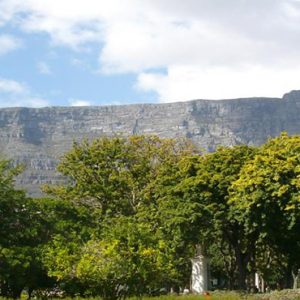 Taj Cape Town Luxury South Africa Holiday Packages Location1