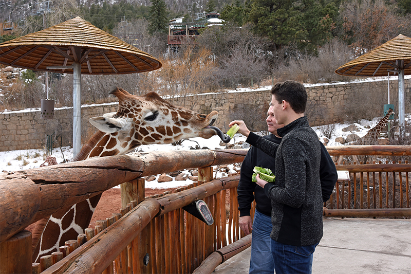 cheyenne-mountain-zoo-blog