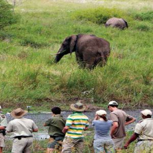 Guided Bush Walks Kapama Private Game Reserve South Africa Holidays