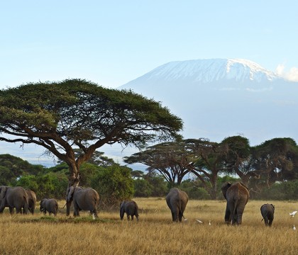 a picture of Tanzania