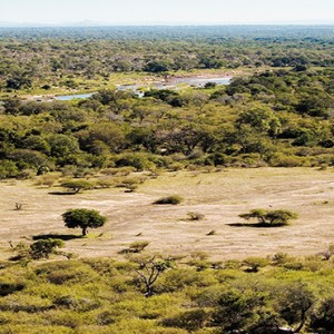 lion-sands-game-reserve-south-africa-safari-holiday-chalkley-reserve