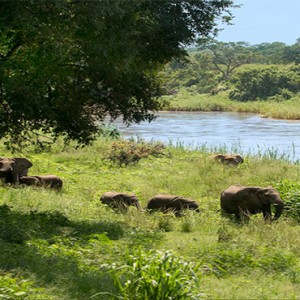 lion-sands-game-reserve-south-africa-safari-holiday-wildlife-doorstop