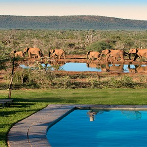 madikwe-safari-lodge-south-africa-holiday-lelapa-lodge-pool-exterior