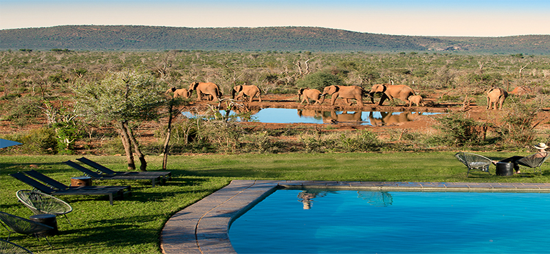 madikwe-safari-lodge-south-africa-holiday-lelapa-lodge-pool-exterior