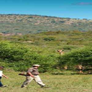 madikwe-safari-lodge-south-africa-holiday-bush-walk