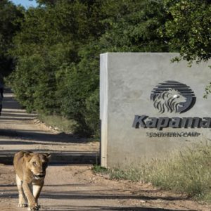 Safari Kapama Private Game Reserve South Africa Holidays