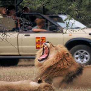 the-palace-of-the-lost-city-south-africa-holidays-safari