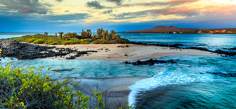galapagos-islands-top-destinations-to-visit-in-south-america
