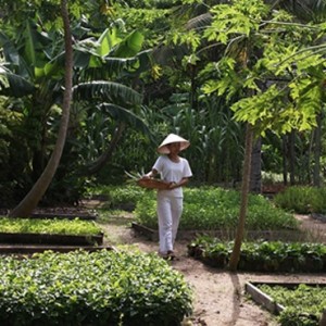 Garden - Six Senses Ninh Van Bay - Luxury Vietnam Holidays