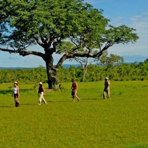 Camp Exclusive Use 3 - Azura Selous Game Reserve - Luxuxry Tanzania Holidays