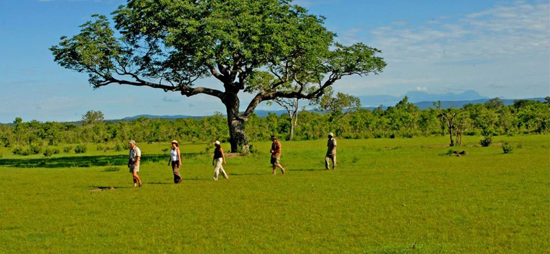 Camp Exclusive Use 3 - Azura Selous Game Reserve - Luxuxry Tanzania Holidays