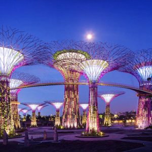 Marina Bay Sands Luxury Singapore Holiday Packages Gardens By The Bay Attraction