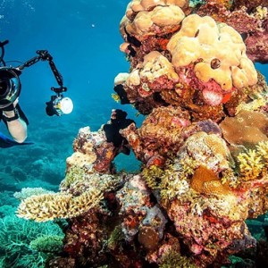 coral reefs - ayada maldives - luxury maldives holidays