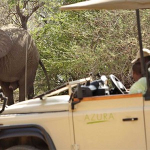 safari - Azura Selous Game Reserve - Luxuxry Tanzania Holidays