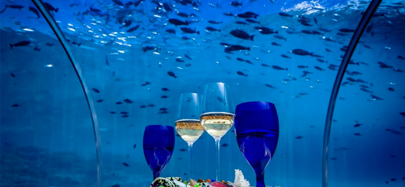 5.8 undersea - Hurawaihi - Luxury Maldives Honeymoon