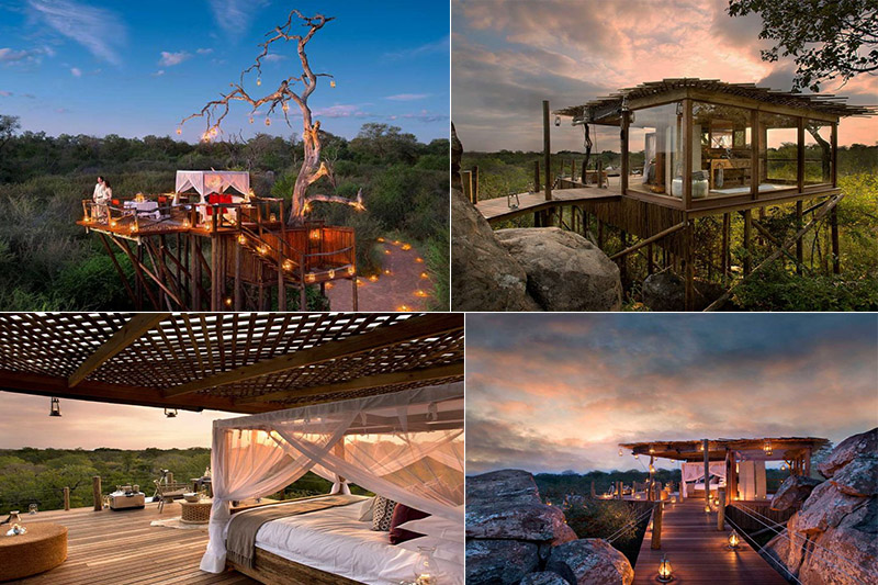 Lion Sands Game Reserve Treehouses, South Africa treehouse blog