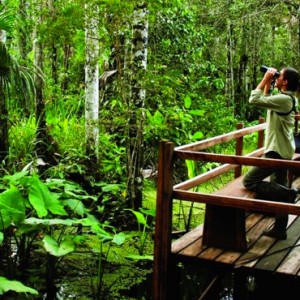 Amazon Exploration - Inkaterra Reserva Amazonica - Luxury Preu Holidays
