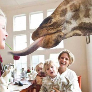 Family experiences - Giraffe Manor - Luxury Kenyan Honeymoon Packages