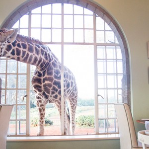 Giraffe Breakfast - Giraffe Manor - Luxury Kenyan Honeymoon Packages