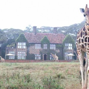 Giraffe - Giraffe Manor - Luxury Kenyan Honeymoon Packages