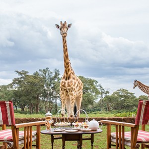 afternoon tea - Giraffe Manor - Luxury Kenyan Honeymoon Packages