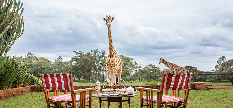 Giraffe Manor | Kenya Holidays | Pure Destinations