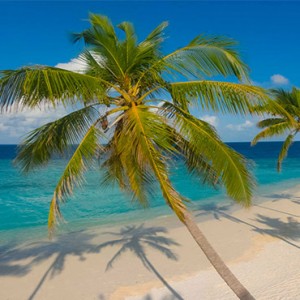 beach view - Milaidhoo Island Maldives - Luxury Maldives Honeymoons