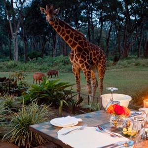 candlelit dinner - Giraffe Manor - Luxury Kenyan Honeymoon Packages