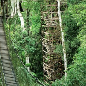 canopy 2 - Inkaterra Reserva Amazonica - Luxury Preu Holidays