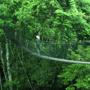 canopy 4 - Inkaterra Reserva Amazonica - Luxury Preu Holidays
