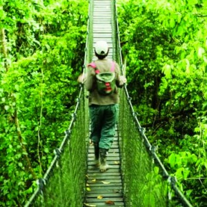 canopy - Inkaterra Reserva Amazonica - Luxury Preu Holidays