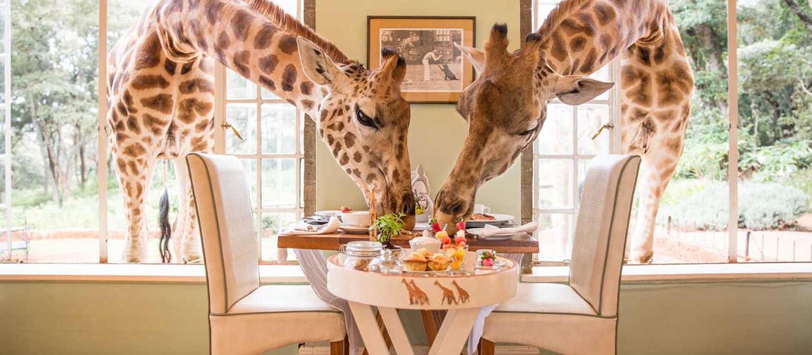 header - Giraffe Manor - Luxury Kenyan Honeymoon Packages