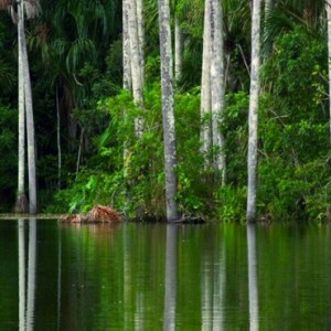 lake - Inkaterra Reserva Amazonica - Luxury Preu Holidays