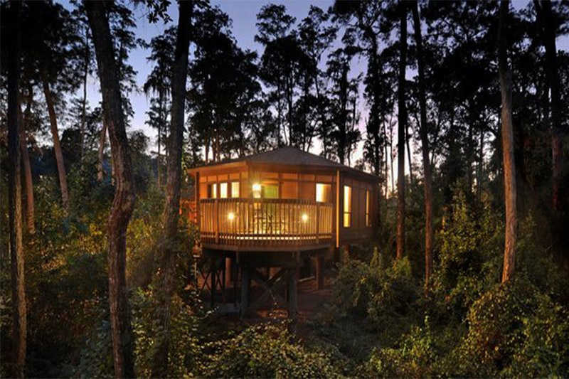 treehouse villas, Disney's Saratoga Springs resort and spa blog