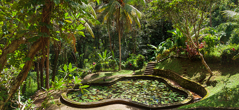 ubud - top island holiday destinations