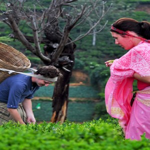 Heritance Tea Factory - Luxury Sri Lanka Holiday Packages - Tea Factory