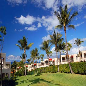 Palms at Wailea Maui by Outrigger - Luxury Hawaii holiday packages - thumbnail