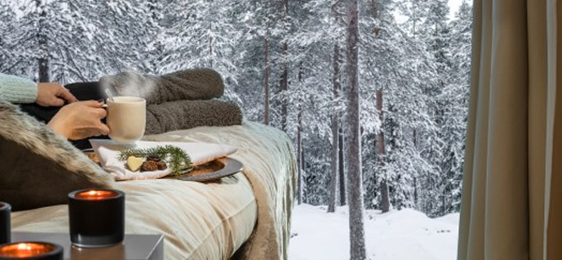 Arctic Tree House 4 Финляндия