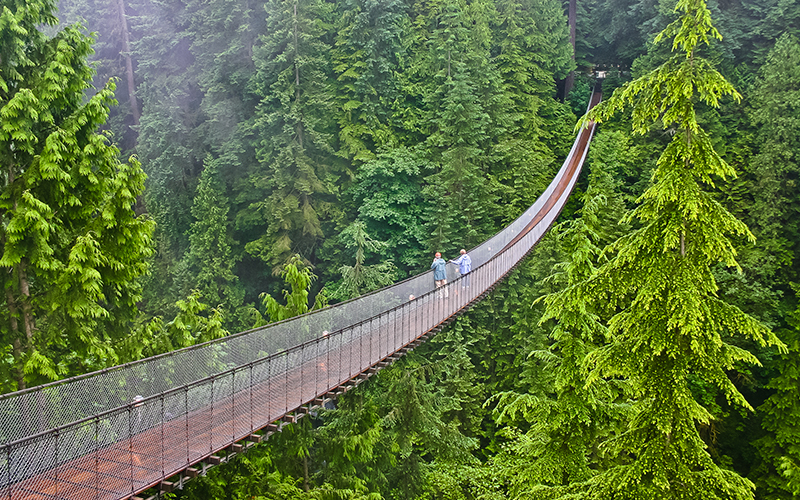 Capilano Suspension Bridge The Most Beautiful Sights In Canada