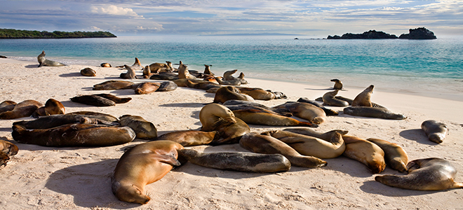 Galapagos Islands Bucket List Holidays For Families Luxury Family Holiday Packages