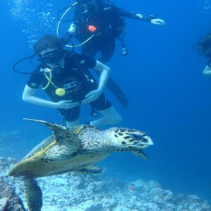 Luxury Maldives Holiday Packages Furaveri Island Resort & Spa Scuba Diving