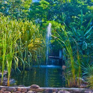 Luxury Sri Lanka Holiday Packages Grand Udawalawe Safari Resort Outside Exterior