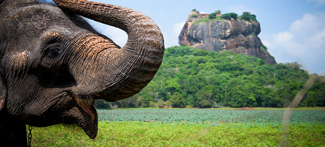 Sri Lanka Bucket List Holidays For Families Luxury Family Holiday Packages