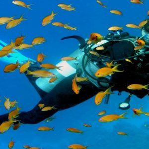 Kuramathi Maldives Luxury Luxury Maldives Holiday Packages Scuba Diving