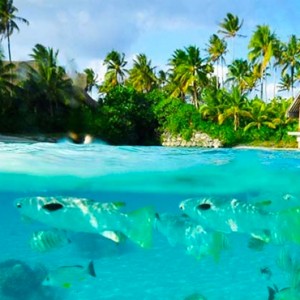 luxury bora bora holiday packages - intercontinental bora bora resort and thalasso spa - lagoonarium