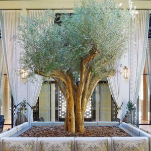 Luxury Ras Al Khaima Ritz Carlton Ras Al Khamaih Al Wadi Interior