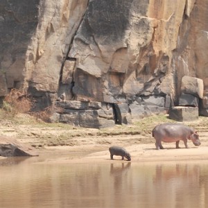Luxury Safari Holiday Packages Serena Mivumo River Lodge Wildlife