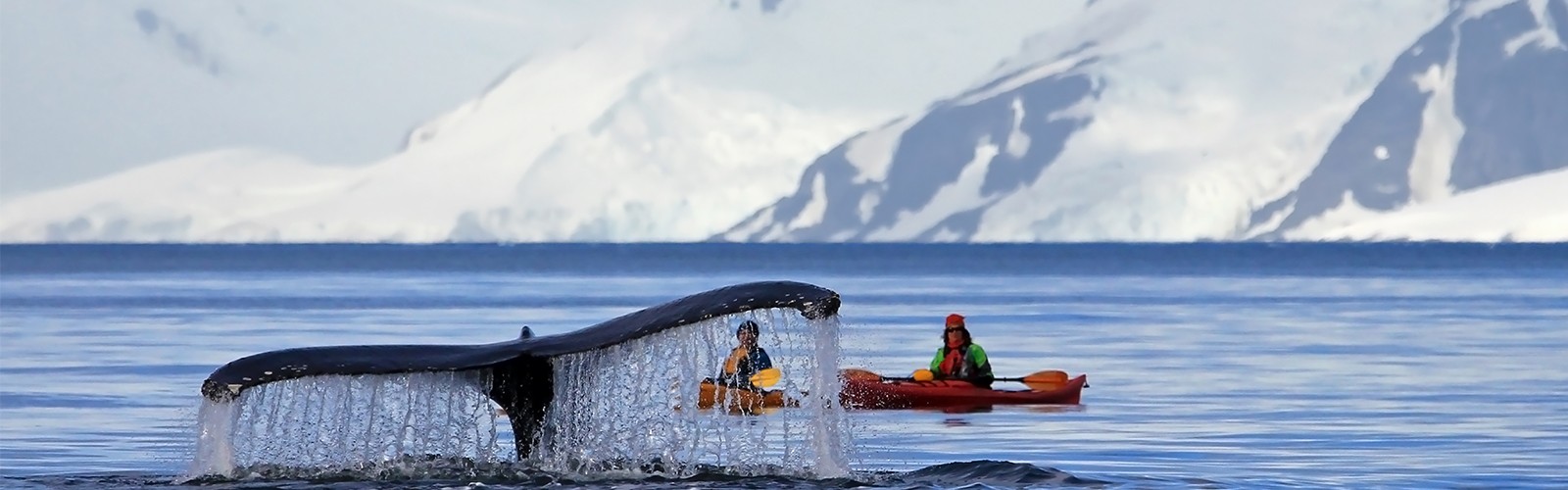 Antarctica And Chilean Fjords Header