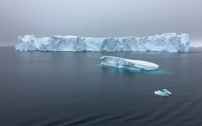 Antarctica And Chilean Fjords Penguins 5