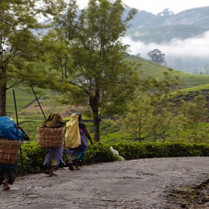 Luxury Sri Lanka Holiday Packages Ceylon Tea Trails Sri Lanka tea pickers